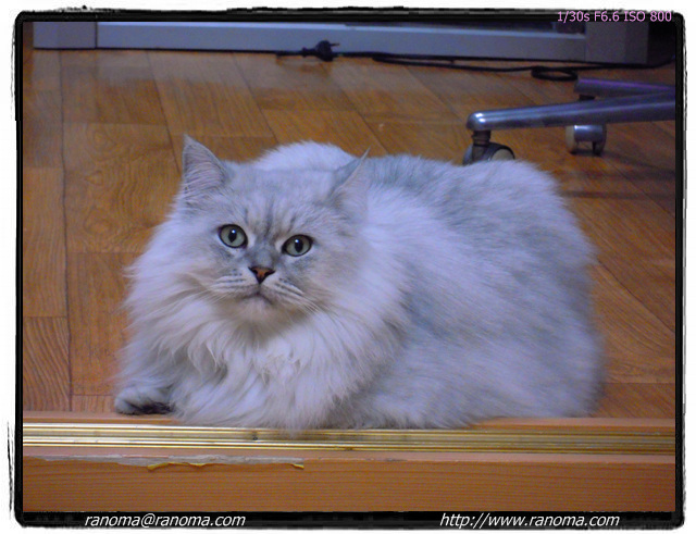 DSCN0095.jpg