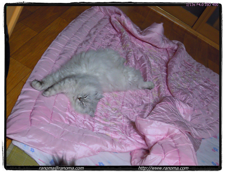 DSCN0104.jpg