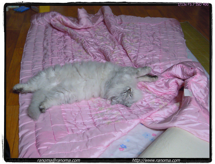 DSCN0142.jpg