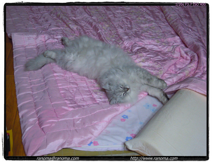 DSCN0152.jpg