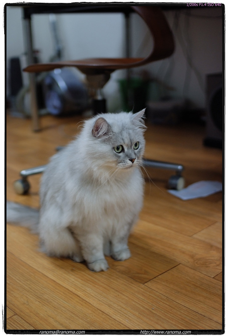 DSCF4291.jpg