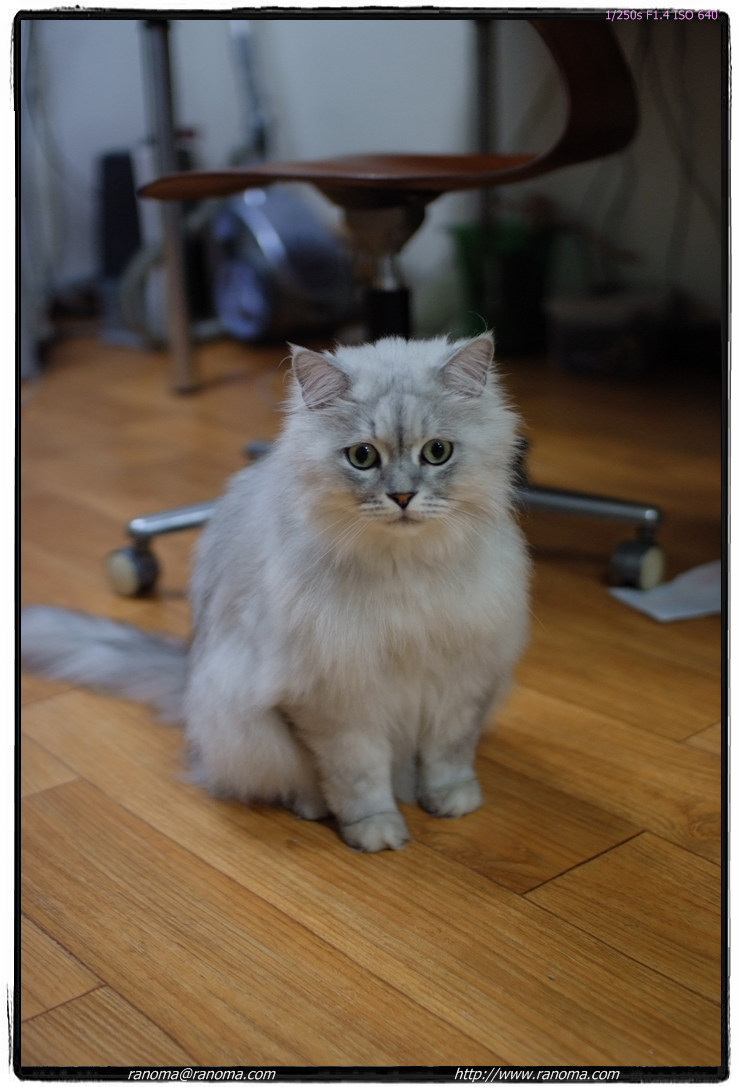 DSCF4293.jpg