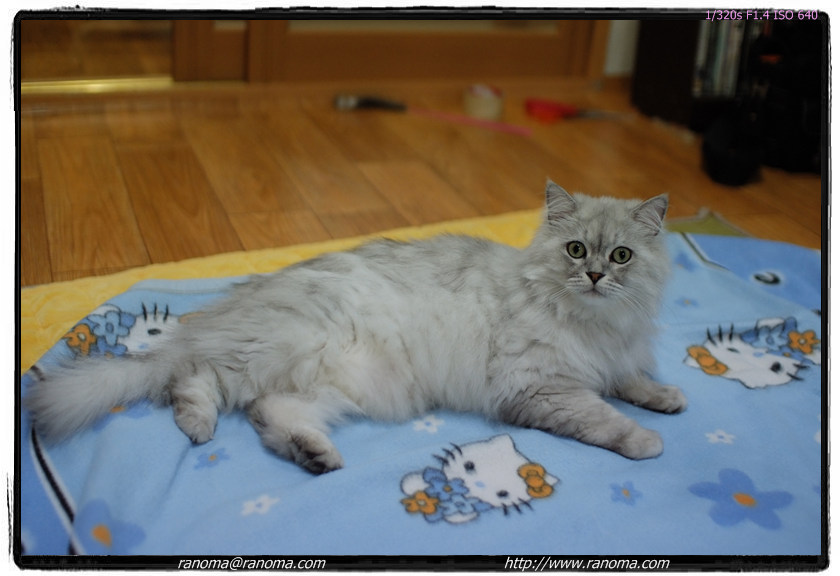 DSCF4294.jpg