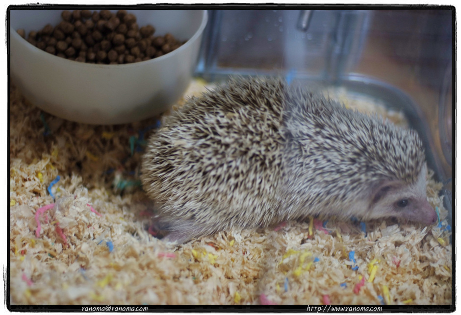 DSCF8977.jpg
