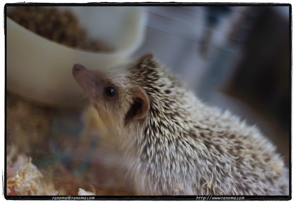 DSCF8979.jpg