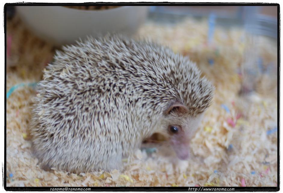 DSCF8971.jpg