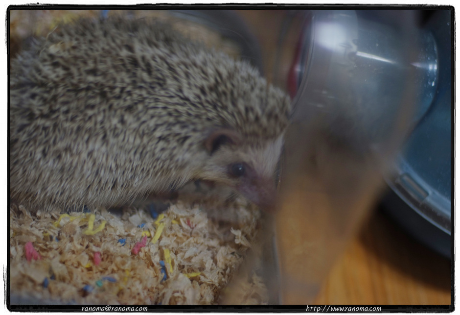 DSCF8973.jpg