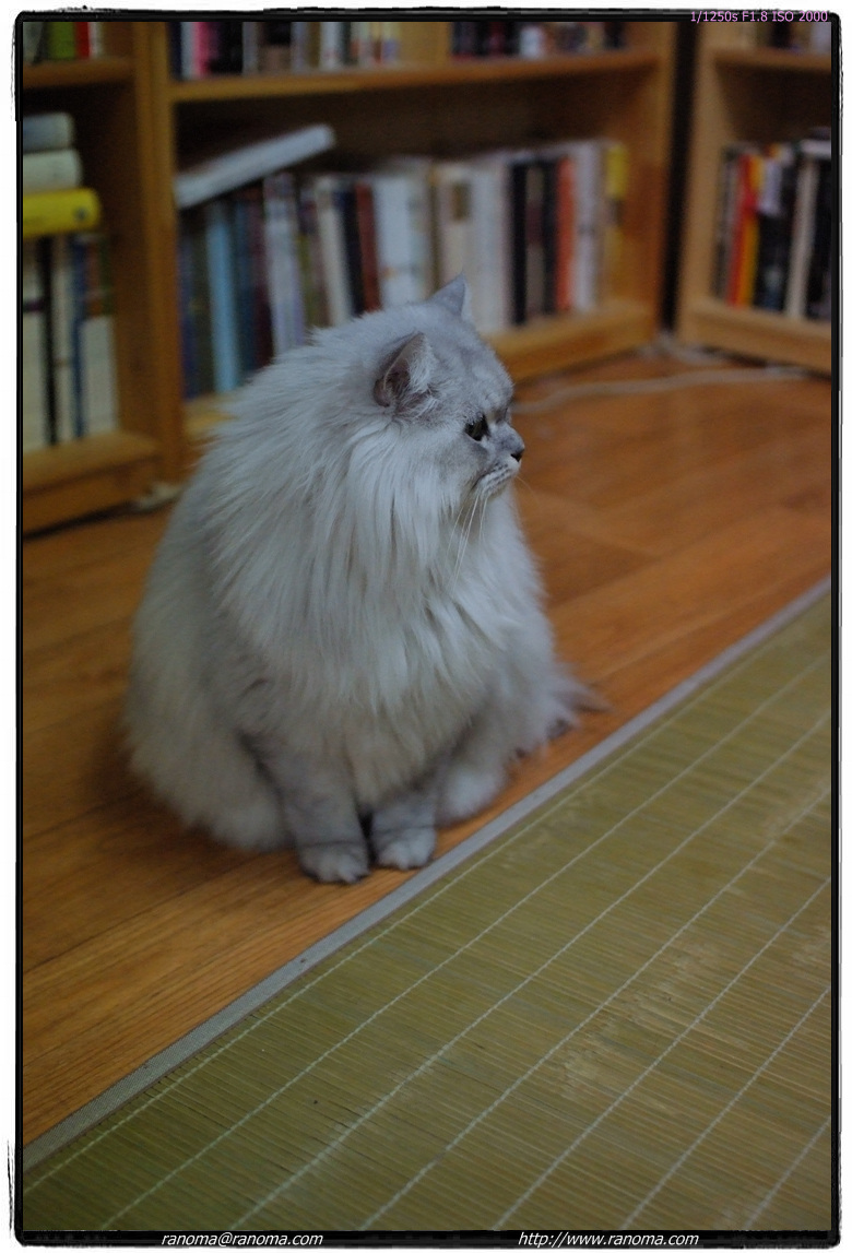 DSCF6007.jpg