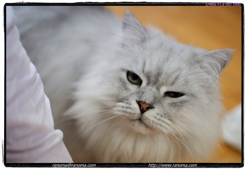 DSCF6009.jpg