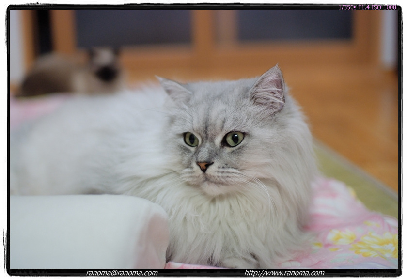 DSCF6018.jpg