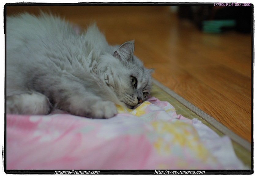 DSCF6019.jpg