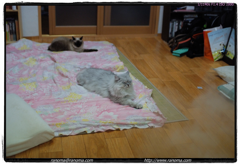 DSCF6021.jpg