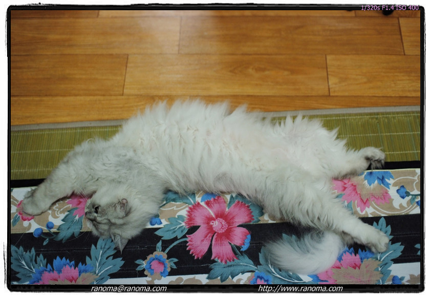 DSCF4331.jpg