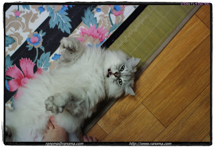 DSCF4335.jpg