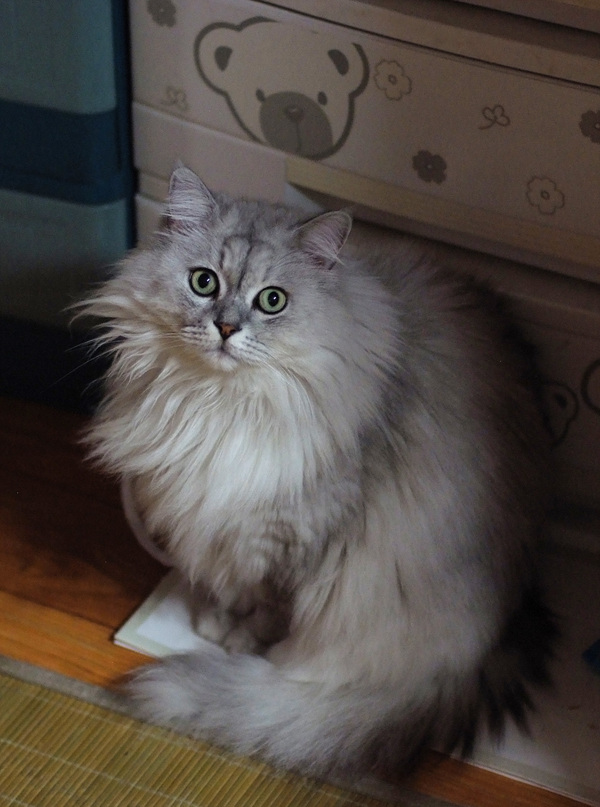 DSCF1397.jpg