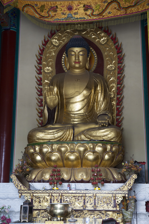 JJ0A0941.jpg