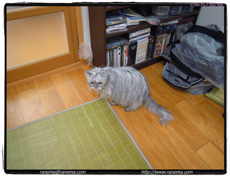 DSCN0238.jpg