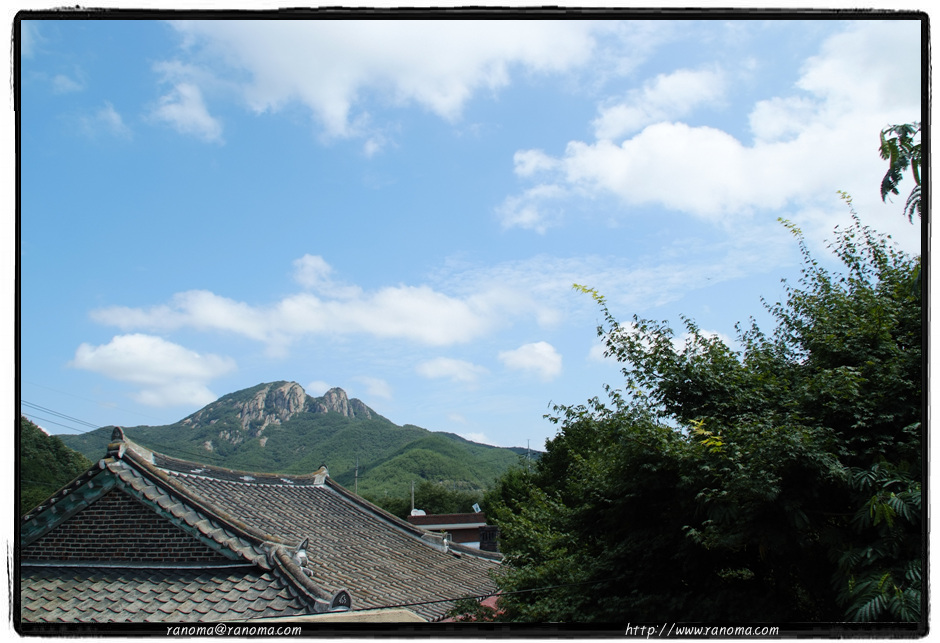 DSCF8991.jpg