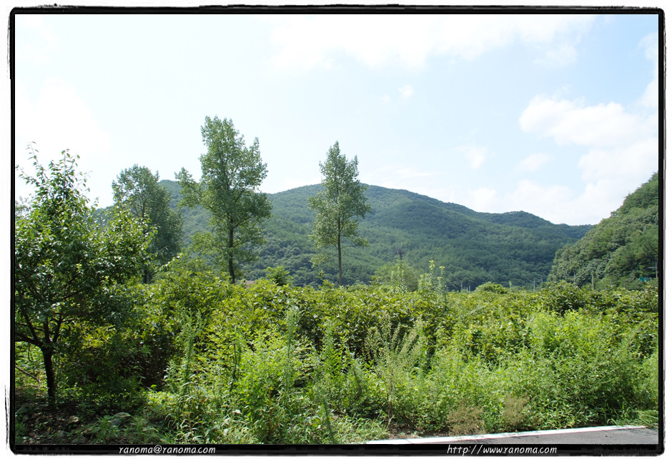 DSCF8989.jpg