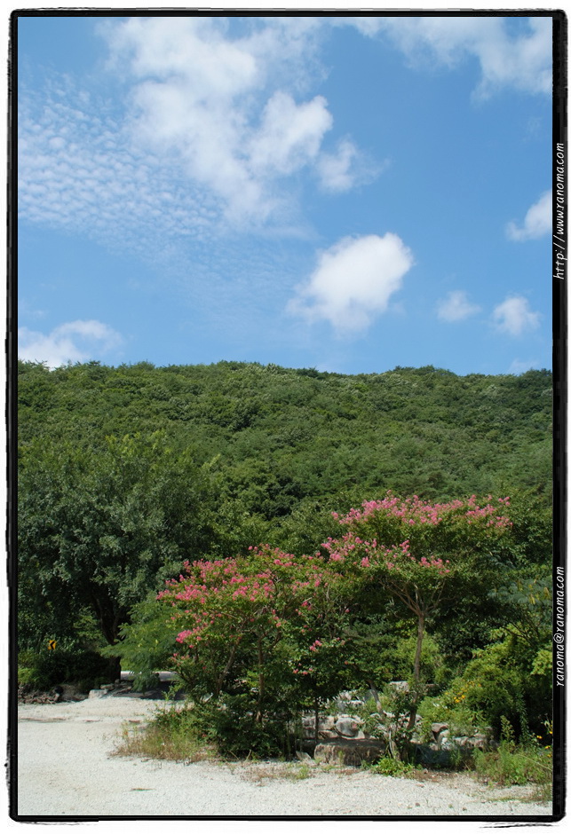 DSCF8986.jpg