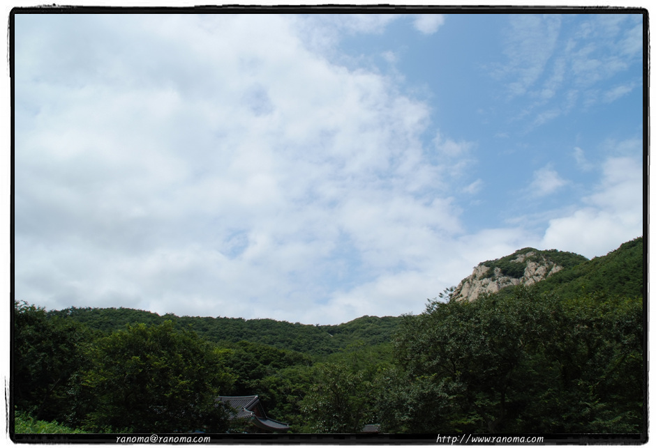 DSCF9024.jpg