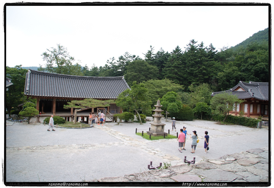 DSCF9155.jpg