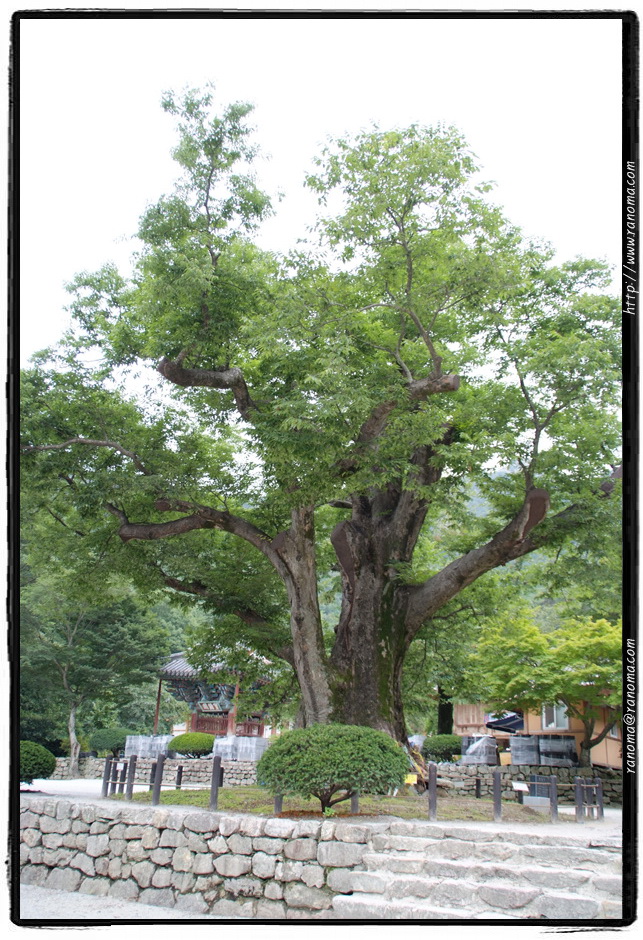 DSCF9141.jpg