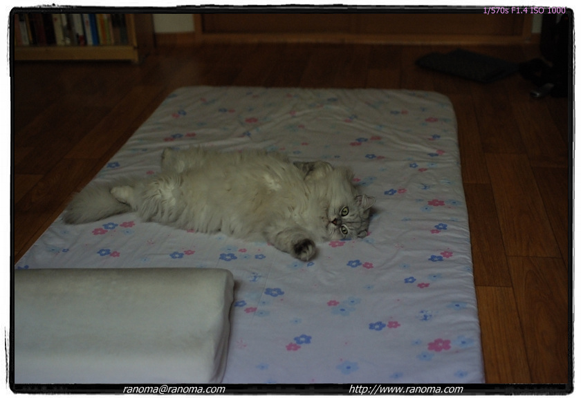 DSCF6024.jpg