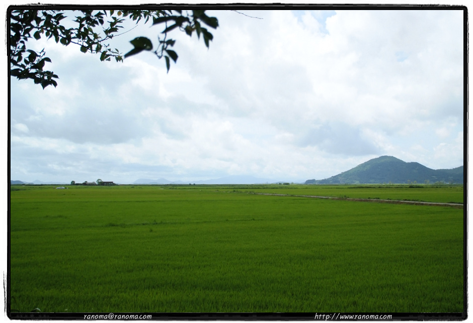 DSCF9221.jpg