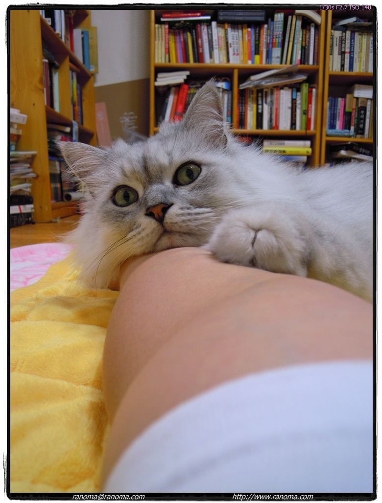 DSCN0573.jpg