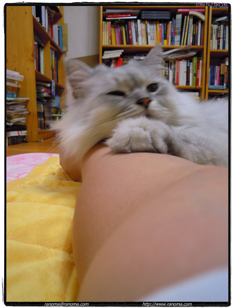 DSCN0570.jpg
