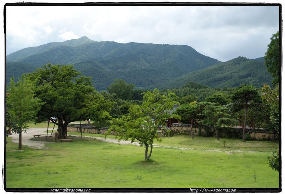 DSCF9313.jpg