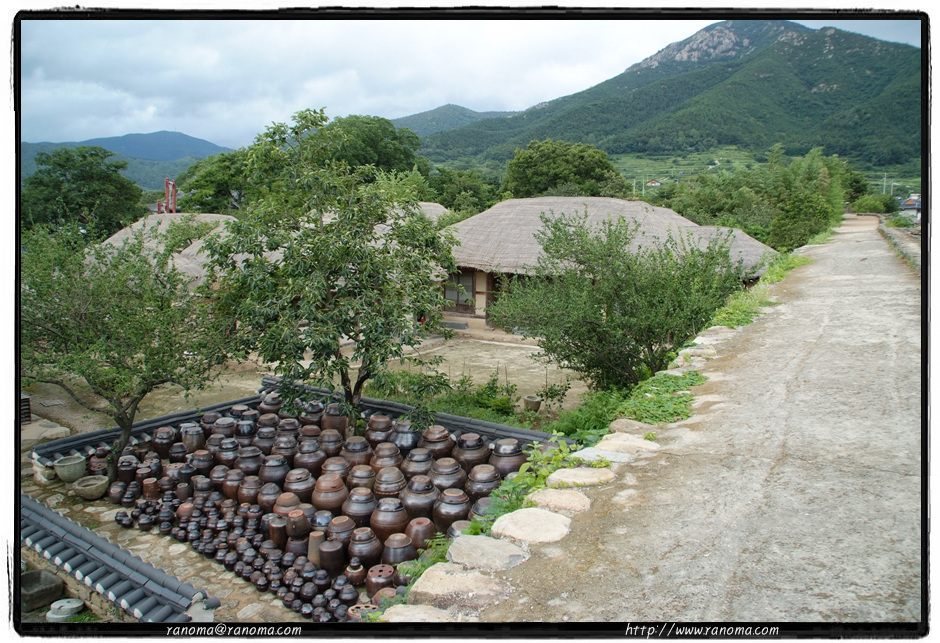 DSCF9309.jpg